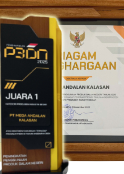 Piagam Penghargaan P3DN 2025